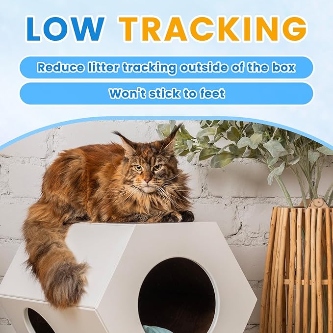 NEWORD Crystal Cat Litter Non Clumping Crystal Litter - 8LBs 99.99% Dust Free Fresh Scented Cat Litter Crystals - Superior Odor Control Lightweight Soft on Paws