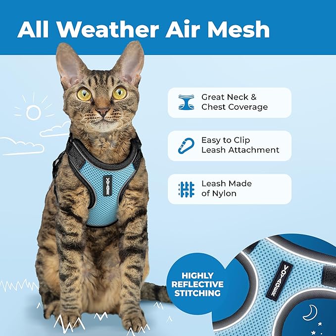 Voyager Escape Proof Cat Harness and Leash Set with Reflective Stitching, Neoprene Handle 5ft - Supports Small, Medium and Large Cats, Kittens for Walking by Best Pet Supplies - BT-Baby Blue, XS