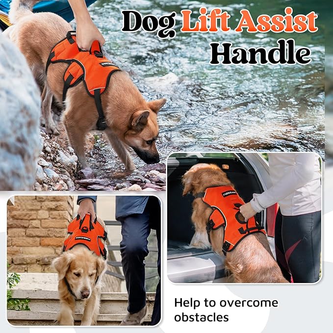 rabbitgoo Escape Proof Dog Harness, Soft Padded Full Body Pet Harness, Reflective Adjustable No Pull Vest with Lift Handle and Leash Clip for Large Dogs Walking Hiking Training, M, Orange