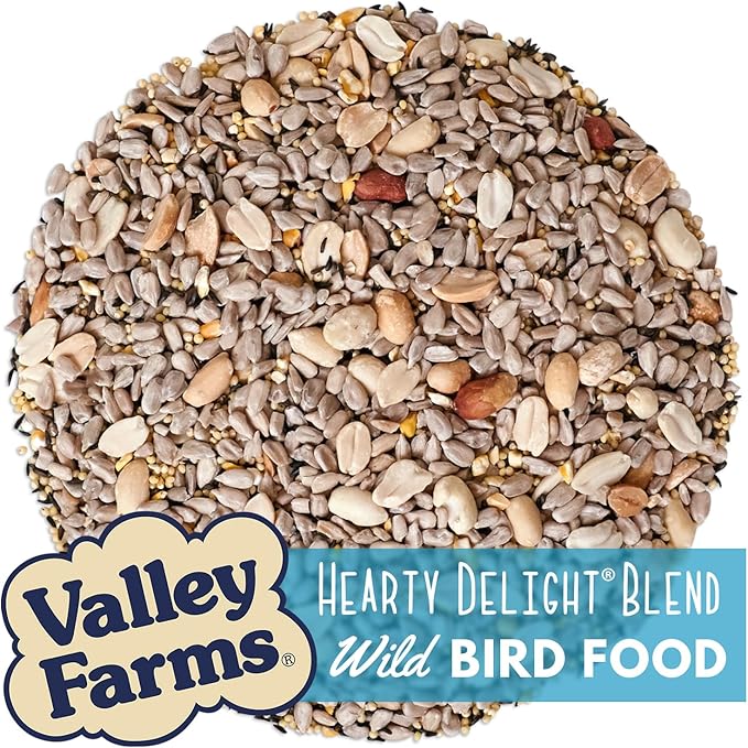 Valley Farms Hearty Delight 4 LB 2-Pack (8 LB Total) Wild Bird Food for Outside Feeders, No-Mess Wild Bird Seed with Sunflower Hearts & Peanut Kernels, No Fillers, Perfect for Outdoor Patios