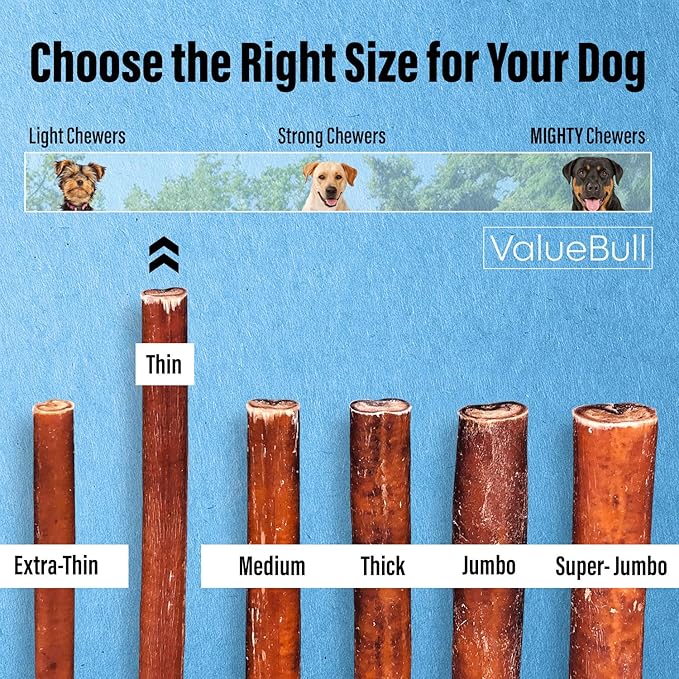 ValueBull Bully Sticks for Small Dogs, Thin 6 Inch, 400 Count Wholesale Pack - All Natural, Grass Fed, Single Ingredient, Long Lasting Dog Treats