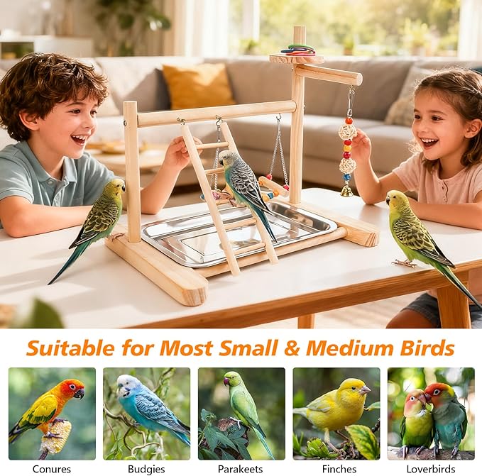 Bird Playground, Parrot Playstand Cockatiel Playground, Bird Play Stand with Feeder Cups, Swings, Ladder and Removable Tray, Parrot Perch Stand for Parakeet Conure Lovebird Budgie (2 Layers)