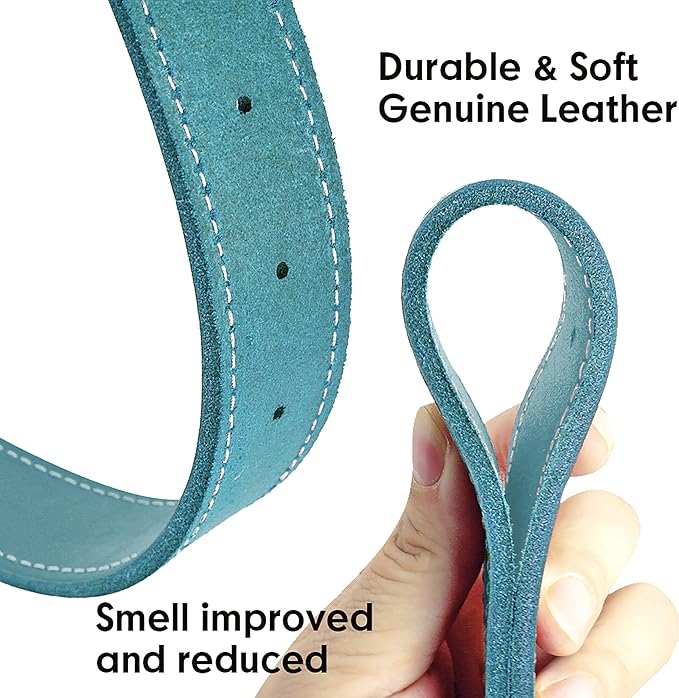 Didog Genuine Leather Dog Collars with Engraved Nameplate, Personalized Soft Leather Dog Collar with Custom ID Tag, Brown/Green/Red for Small Dogs (S,Blue)