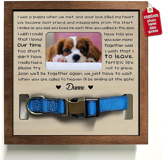 Customized Dog Collar Frame Memorial Pet Loss Sign for Dogs Lovers Gifts from Daughter Sentimental Quote For Someone Who Lost Dogs Keepsake Picture Frame Remembrance Decor Wall Hanging Gifts