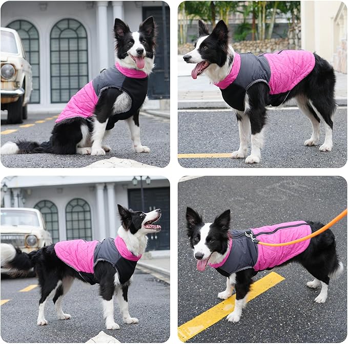 Warm Fleece Dog Coats for Small Dogs,D-Rings Waterproof Puppy Jacket for Cold Winter,Pink XS