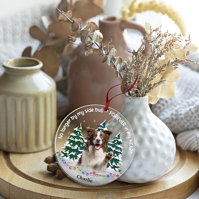 Pavo Personalized Picture Frame Pet Memorial Gifts for Dogs, Cats, Pets - Personalized Decorative Hanging Ornaments 4–6 Inches, Loss of Dog Sympathy Gift, Cat Memorial Gifts for Loss of Cat