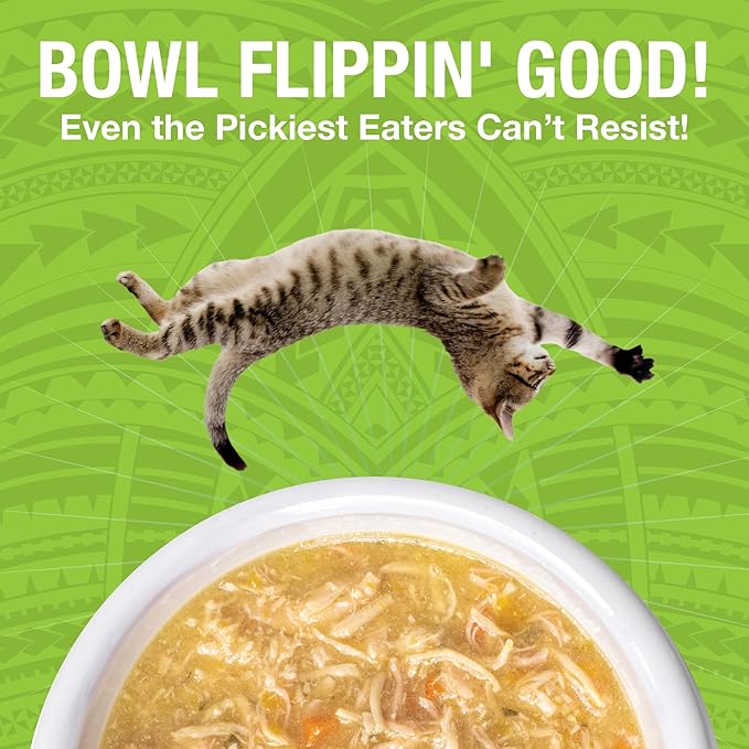 KOHA Pure Shreds Chicken and Duck Entrée for Cats, High Protein Wet Cat Food, 5.5oz Cans (Pack of 12)