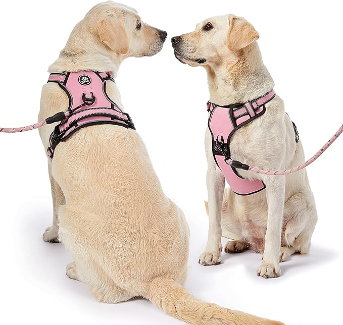 NESTROAD No Pull Dog Harness,Adjustable Oxford Medium Dog Harness with Leash,Reflective No-Choke Pet Vest Harness with Easy Control Soft Handle for Small Medium Large Dogs(M,Pink)