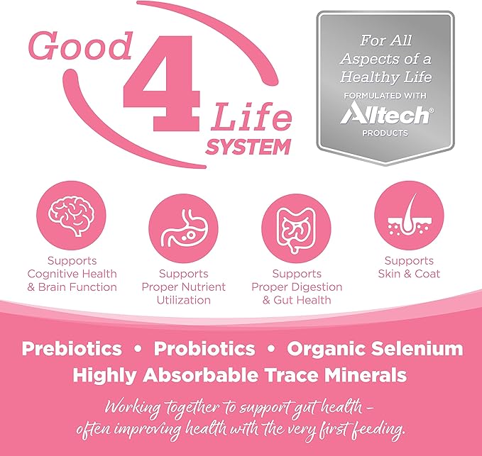 NutriSource Pure Vita Limited Ingredient Grain Free Dry Dog Food, Salmon and Peas, 25LB