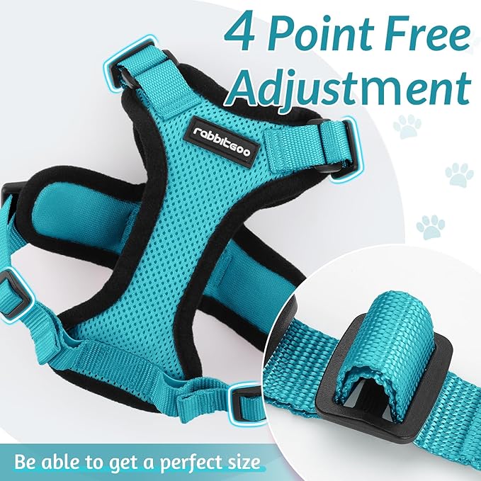 rabbitgoo Cat Harness and Leash for Walking, Escape Proof Soft Adjustable Vest Harnesses for Cats, Easy Control Breathable Reflective Strips Jacket, Teal, S