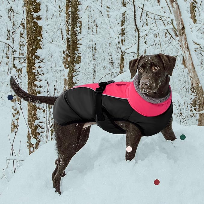 IECOii Extra Warm Dog Coat with Reflective Adjustable Fleece Turtleneck for Cold Weather in Small, Medium, Extra Large Sizes