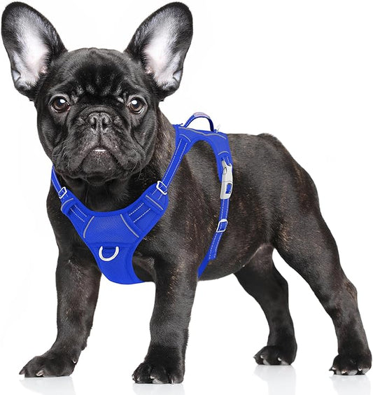 BARKBAY No Pull Dog Harness Large Reflective Dog Harness with Front Clip and Easy Control Handle for Walking Training Running with ID tag Pocket(Sapphire Blue,S)