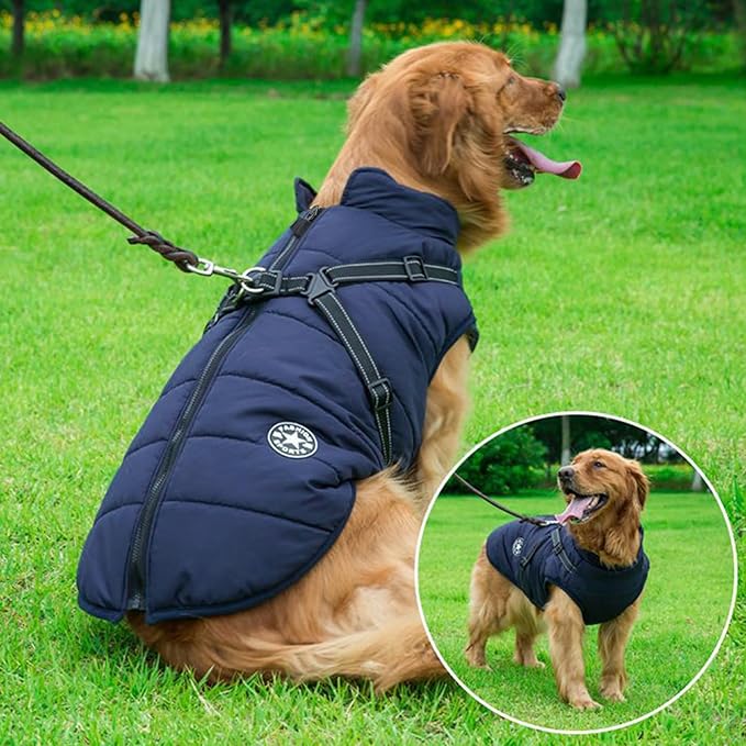 Aiboria Dog Jackets for Winter Windproof Waterproof 2 in 1 Outfit Cold Weather Coat Dog Vest Harness Puppy Winter Warm Jacket Small Blue S