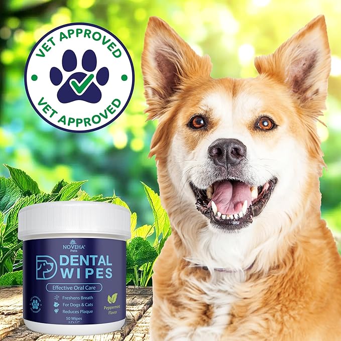 NOVEHA 50PCs Pets Dental Finger Wipes for Dogs & Cats | Freshens Breath, Reduces Plaque | Healthier Gums | Clean Teeth No Toothbrush | Vet Recommended Effective Natural Oral Care | Mint Flavor