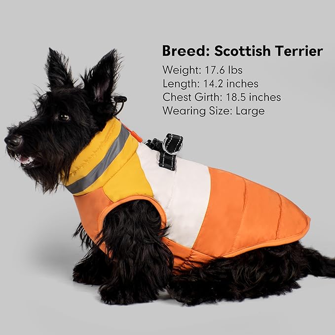 azuza Dog Jacket Waterproof Winter Coat for Small Dogs, Warm Fleece Vest with Reflective Strips & Built-in Harness, Windproof Back Zipper, Orange S