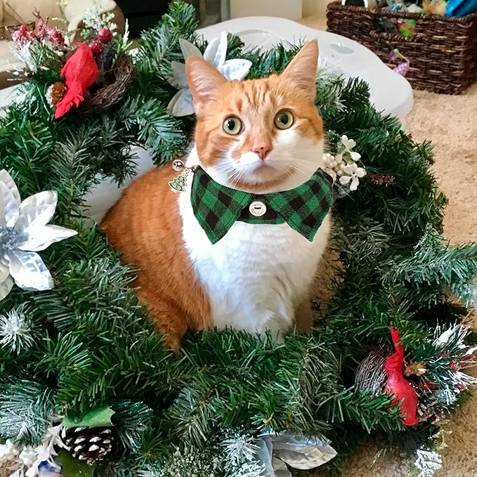 ADOGGYGO Christmas Cat Collars Breakaway with Bow Tie Bell, 2 Pack Red Green Plaid Xmas Kitten Collar with Removable Shirt Collar, Plaid Christmas Collars for Cats Kittens