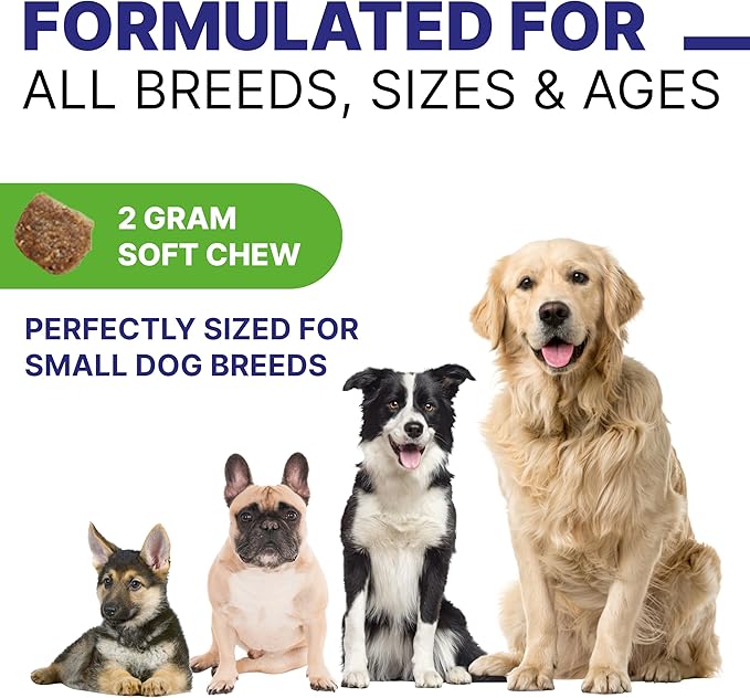 Advanced Probiotics for Dogs Digestive Health with Enzymes Fiber - Diarrhea Gas Upset Stomach Relief Treats - Seasonal Allergy Support - Dog Probiotics for Digestive Health - 120 Chews