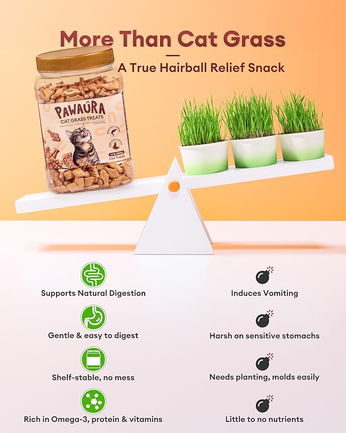 17.63oz Cat Grass Treats for Hairball Control – Natural Salmon & Cat Grass & Catnip Biscuits, Low-Calorie Healthy Snacks for Indoor Cats, Digestive & Dental Care