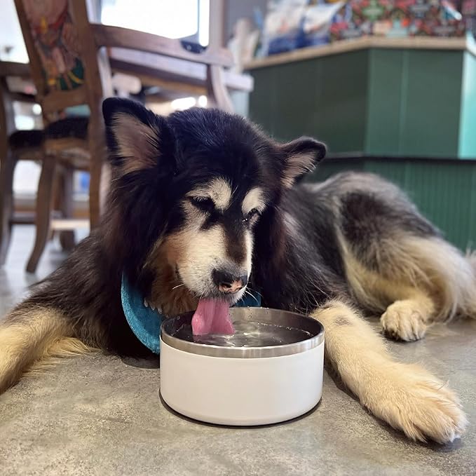 IKITCHEN Dog Bowl for Food and Water, 40 Oz Stainless Steel Pet Feeding Bowl, Durable Non-Skid Double Wall Insulated Heavy Duty with Rubber Bottom for Medium Large Dogs (40 Ounces/5 Cup, White)