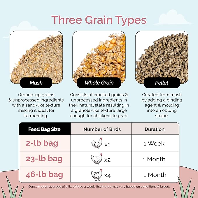 Organic Chicken Feed – Layer Whole Grain, Non-GMO, USA Grown, 16% Protein, Corn-Free, Soy-Free, Non-Medicated Feed for Chickens, 46 lbs