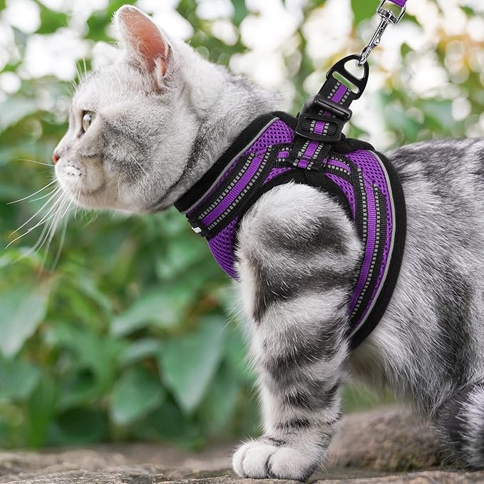 rabbitgoo Cat Harness and Leash Set for Walking Escape Proof, Adjustable Soft Kittens Vest with Reflective Strip for Cats, Comfortable Outdoor Vest, Purple, S