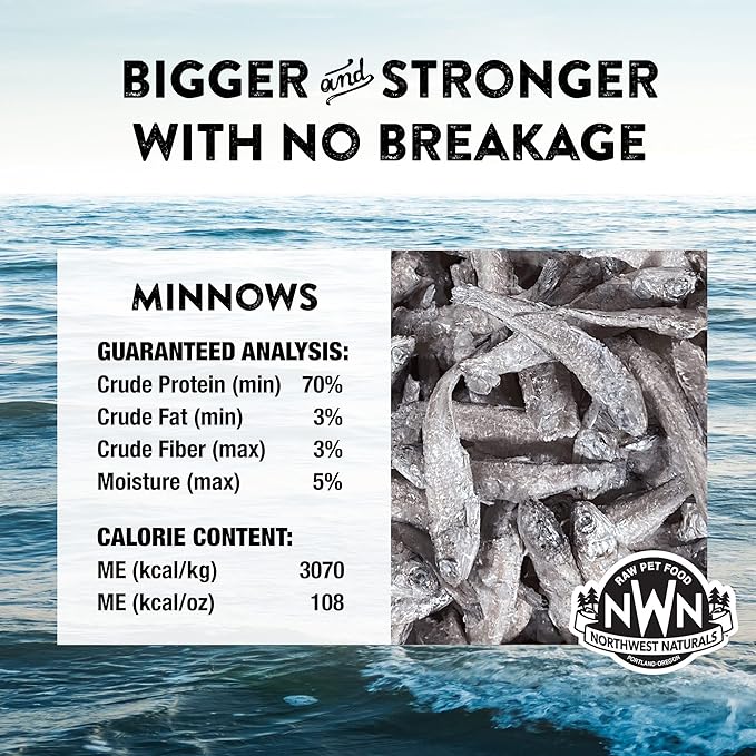 Northwest Naturals Raw Rewards Freeze-Dried Minnow Treats for Dogs and Cats - Bite-Sized Pieces - Healthy, 1 Ingredient, Human Grade Pet Food, All Natural, Proudly Made in USA, 1 Oz (Pack of 3)