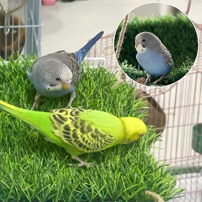 FlidRunest Large Bird Swing Toy, Bird Grass Mat Hammock Swing with Hooks, Parrot Climbing Foraging Toy for Cockatoo,Parakeets,Budgie,Sun Conure, Small to Medium 15.7x7.8 Inches