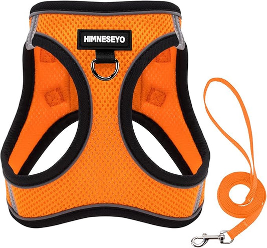 Dog Harness and Leash Set, Dog Harness for Dogs No Pull, No-Chock Step-in Reflective Breathable Lightweight Easy Walk Vest Harnesses with Safety Buckle for Small Medium Dogs, Cats (Orange, S)