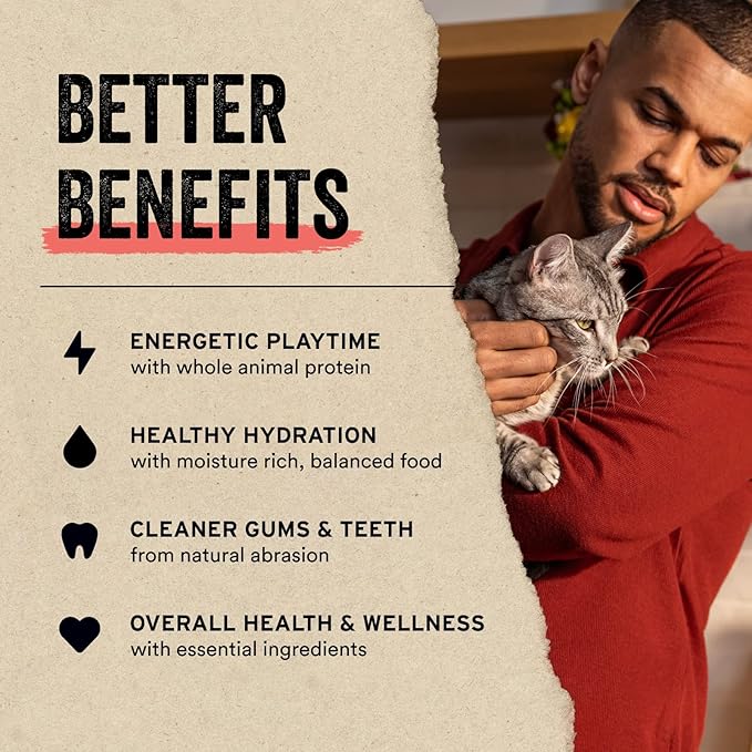 Vital Essentials Minnows Cat Treats, 0.5 oz | Freeze-Dried Raw | Single Ingredient | Grain Free, Gluten Free, Filler Free