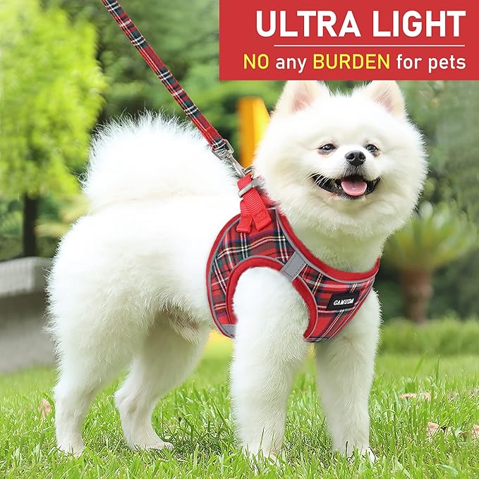 GAMUDA Small Dog Harness Collar and Leash Set, Step in No Chock No Pull Soft Mesh Adjustable Dog Vest Harnesses Plaid Reflective for Dogs Puppy Cats Kitten Rabbit (Red, L)