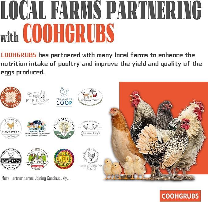 Dried Black Soldier Fly Larvae 2 lb – High Protein Chicken Feed with More Calcium Than Mealworms for Chickens, Birds, Reptiles & Small Pets