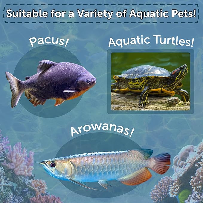 Aquatic Foods Inc. 4-Type Medley Mix of Freeze Dried Superworms, Krill, Red Shrimp, Mealworms for Monster Fish, Reptiles, Turtles, Tortoises, Frogs, Hamsters, Birds, Rodents 5oz Canister