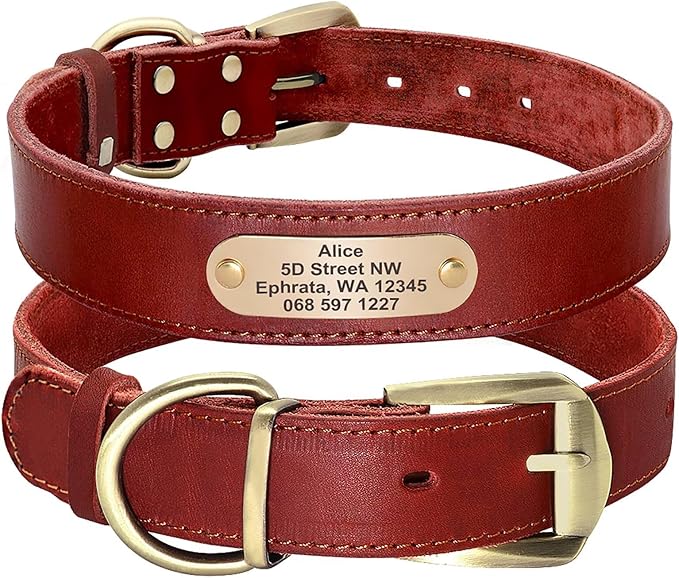 Didog Genuine Leather Dog Collars with Engraved Nameplate, Personalized Soft Leather Dog Collar with Custom ID Tag, Brown/Green/Red for Medium Large Dogs (XL,Red)
