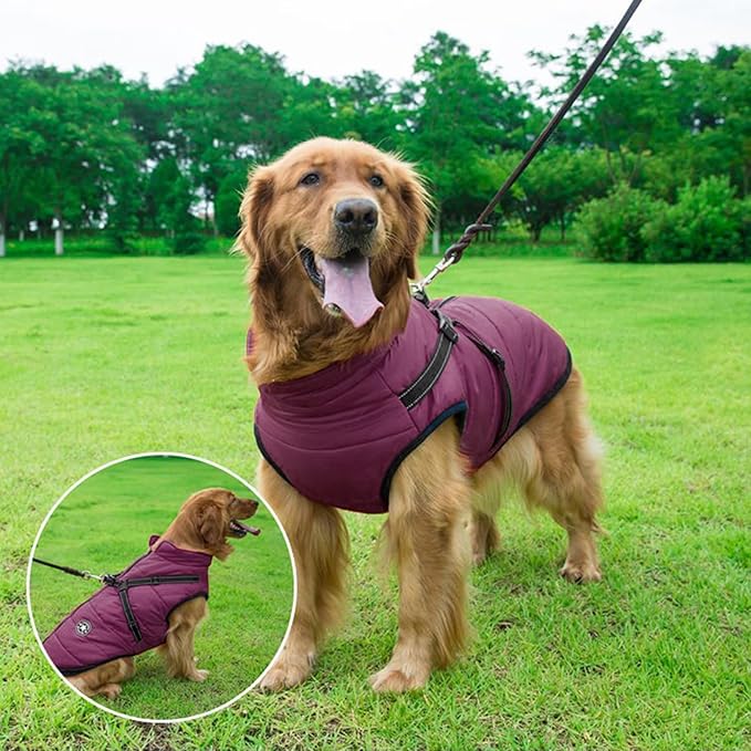 Aiboria Dog Jackets Coat for Winter Windproof Waterproof Fleece Vest Dog Jacket with Chest Strap Belt Purple XL