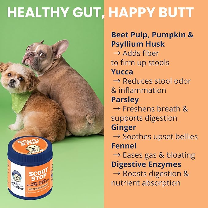Under the Weather Scoot Stop Chews for Dogs | Vet Formulated No-Scoot for Dogs Supplement | Digestive & Anal Gland Support Support for All Breeds | 60 Count