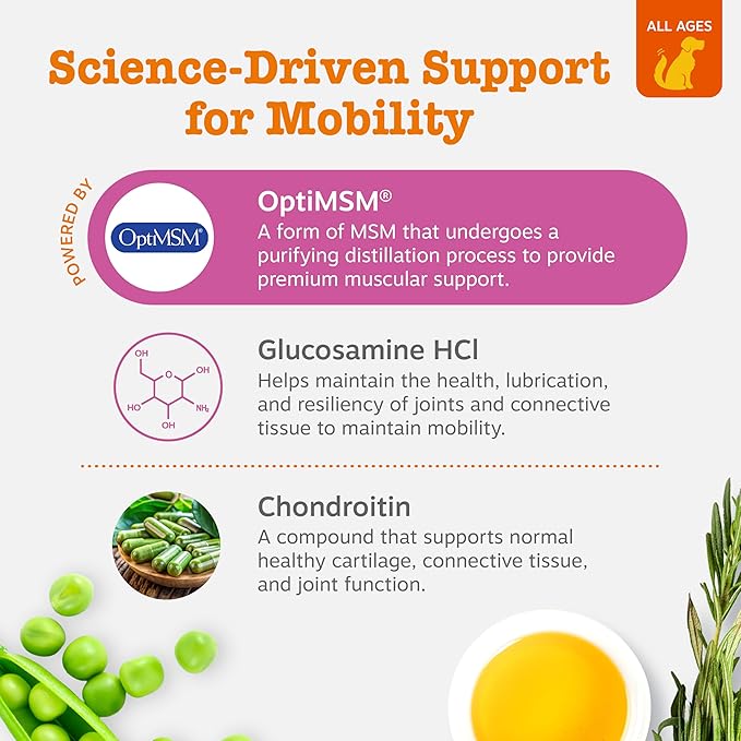 Zesty Paws Hip and Joint Supplement for Dogs - Glucosamine with Chondroitin, MSM, Vitamins C and E Dog Joint Relief - Mobility Bites Duck – 90 Count