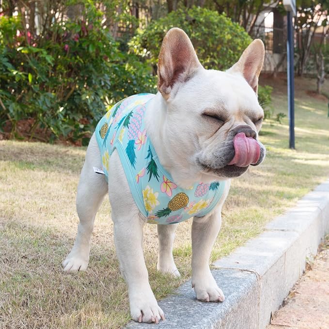 CuteBone Dog Shirts 2-Pack Soft Pet Clothes Breathable Summer Vest for Small Puppy and Stretchy Cat Apparel 2BX06M