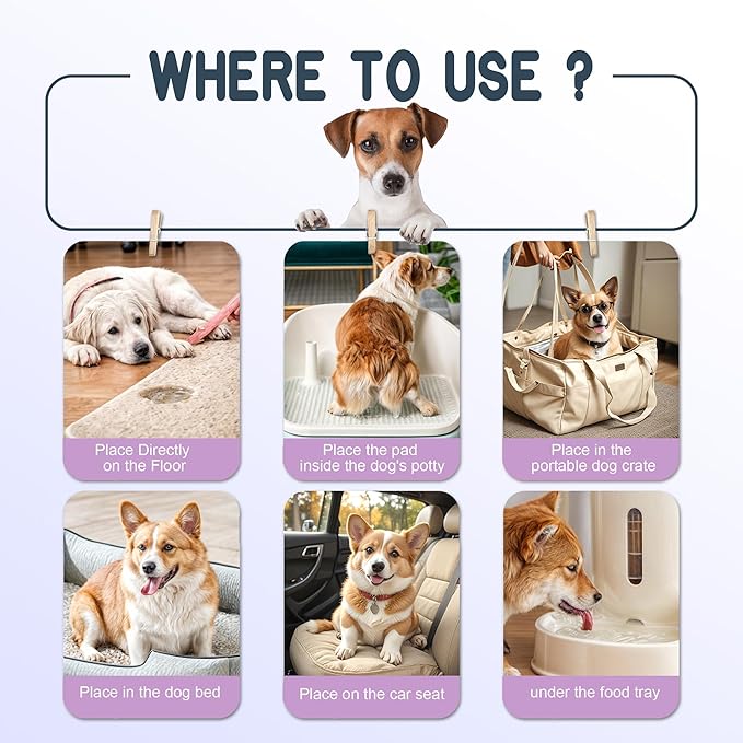 MoMoCo 50 Count Puppy Pads, 22" x 22" Dog Pee Pads with 6-Layer Leak-Proof Protection, Quick-Dry Disposable Training Pads, Super Absorbent Pet Pads