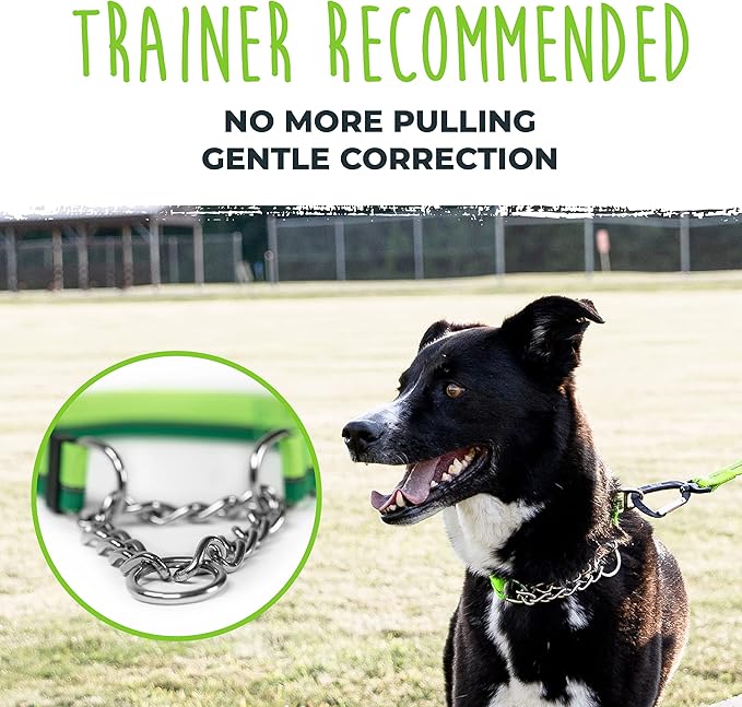 Mighty Paw Martingale Dog Collar 2.0 | Trainer Approved Limited Slip Collar with Stainless Steel Chain & Heavy Duty Buckle - Modified Cinch for Gentle & Effective Pet Training - S/M, Green
