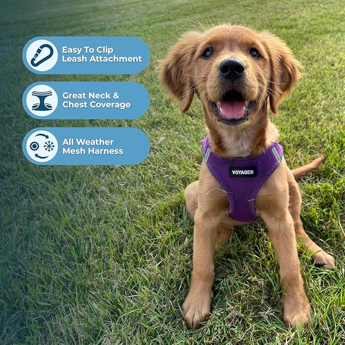 Voyager Step-in Air All Weather Mesh Harness and Reflective Dog 5 ft Leash Combo with Neoprene Handle, for Small, Medium and Large Breed Puppies by Best Pet Supplies - Set (Purple), S
