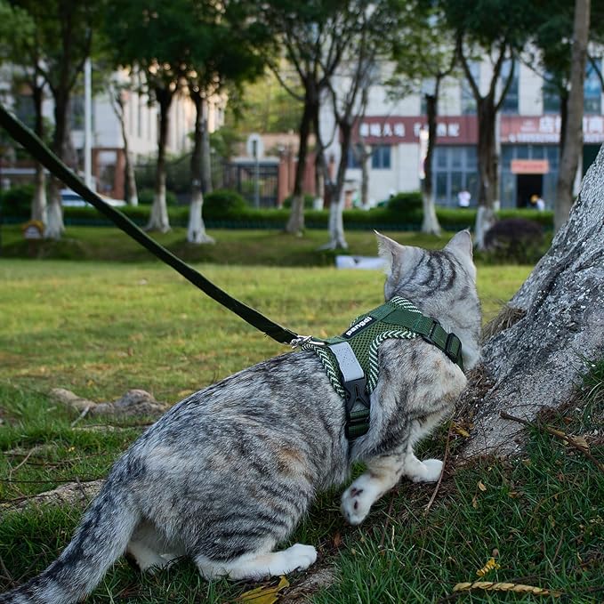 Cat Harness and Leash Escape Proof Large Kitten Harness Ragdoll Cat Vest for Walking Travel, Dark Green, L