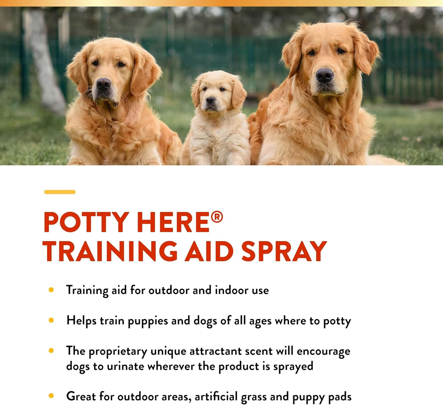 NaturVet – Potty Here Training Aid Spray | Attractive Scent Helps Train Puppies & Dogs Where To Potty | Formulated For Indoor & Outdoor Use | 32 oz