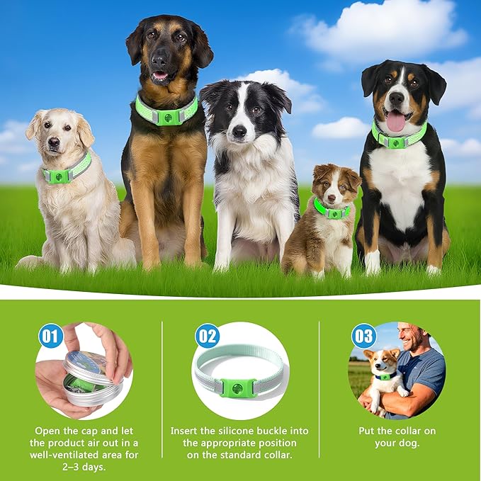 Natural Flea and Tick Prevention Dog Tag – 2 Pack Waterproof Collar Pendant with 4 Extra Refills, Green, Safe for All Breeds Collar Not Included