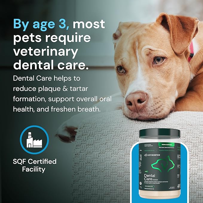 VetriScience Dental Care Powder - Dental Supplement Powder for Dogs & Cats - Supports Breath Freshening - Healthy Teeth & Gums - Easy-to-Use Oral Hygiene for Pets - 16 oz