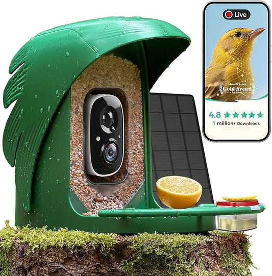 PerchMe® Bird Feeder with Camera Solar Powered,2K Smart Bird House Camera for Outdoors with AI Identify,Auto Capture,Motion Detection, A Ideal Gift(Seed Scoop Included)