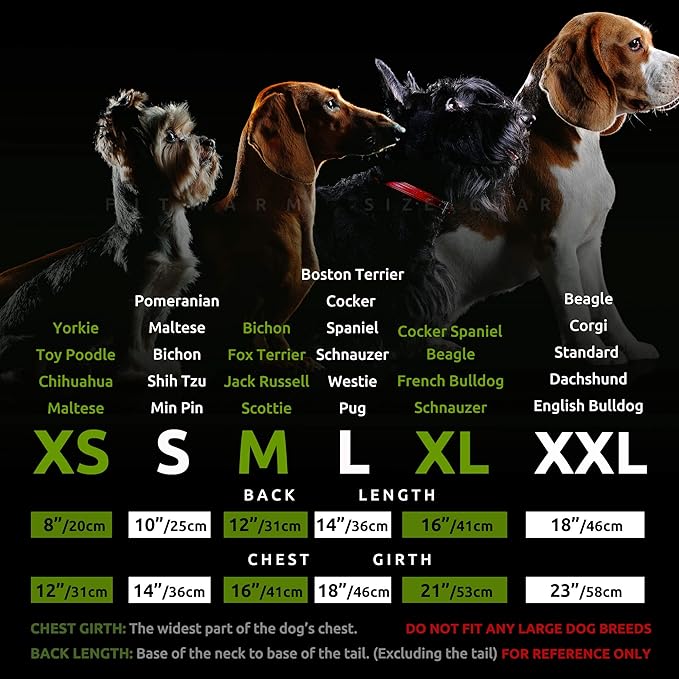 Fitwarm 2 Pack Striped Fleece Dog Sweater, Warm Winter Clothes for Small Dogs Boy Girl, Fuzzy Pet Outfit, Sky Blue, Olive Green, XS