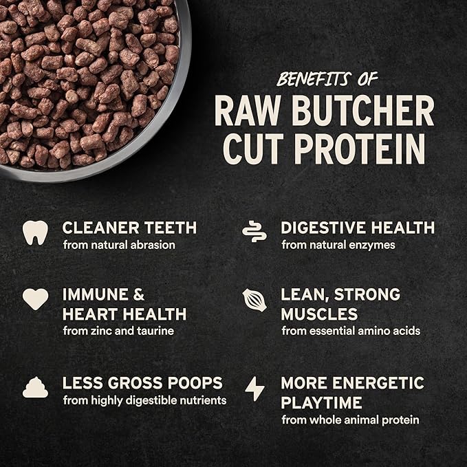 Vital Essentials Freeze-Dried Raw Beef Meal or Mixer Dog Food Crunchy Nibs, 14 oz