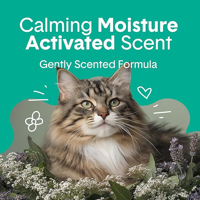 Boxiecat Gently Scented Premium Clumping Clay Cat Litter, 40-Pounds