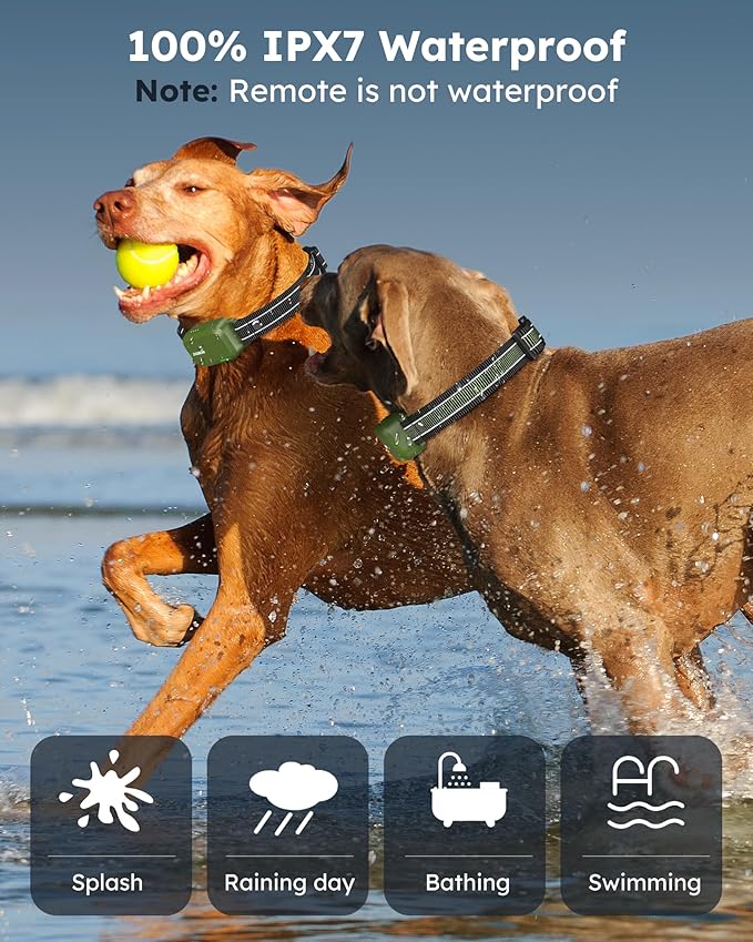 Jugbow Dog Shock Collar 2 Dogs (10-120Lbs) - 4200FT Dog Training Collar with Remote IPX7 Waterproof Electric Collar with 4 Training Modes, Security Lock, Rechargeable e-Collar for All Breeds, Sizes