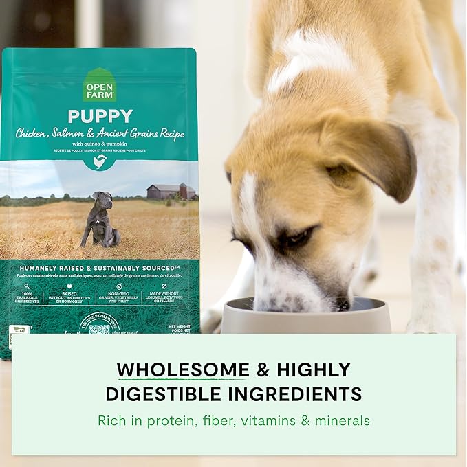 Open Farm, Ancient Grains Dry Dog Food for Puppies, Protein-Rich & Nutrient Dense, 90% Animal Protein Mixed with Non-GMO Fruits, Veggies and Superfoods, Chicken & Salmon Recipe for Puppy, 4lb Bag